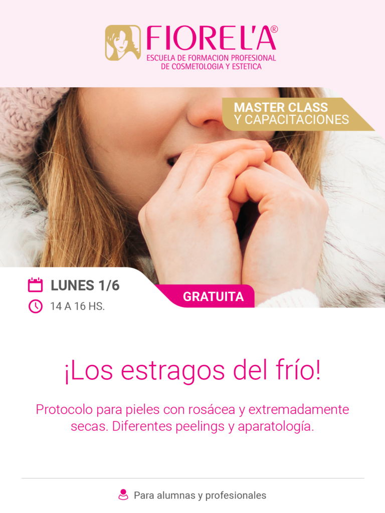 conferencias1