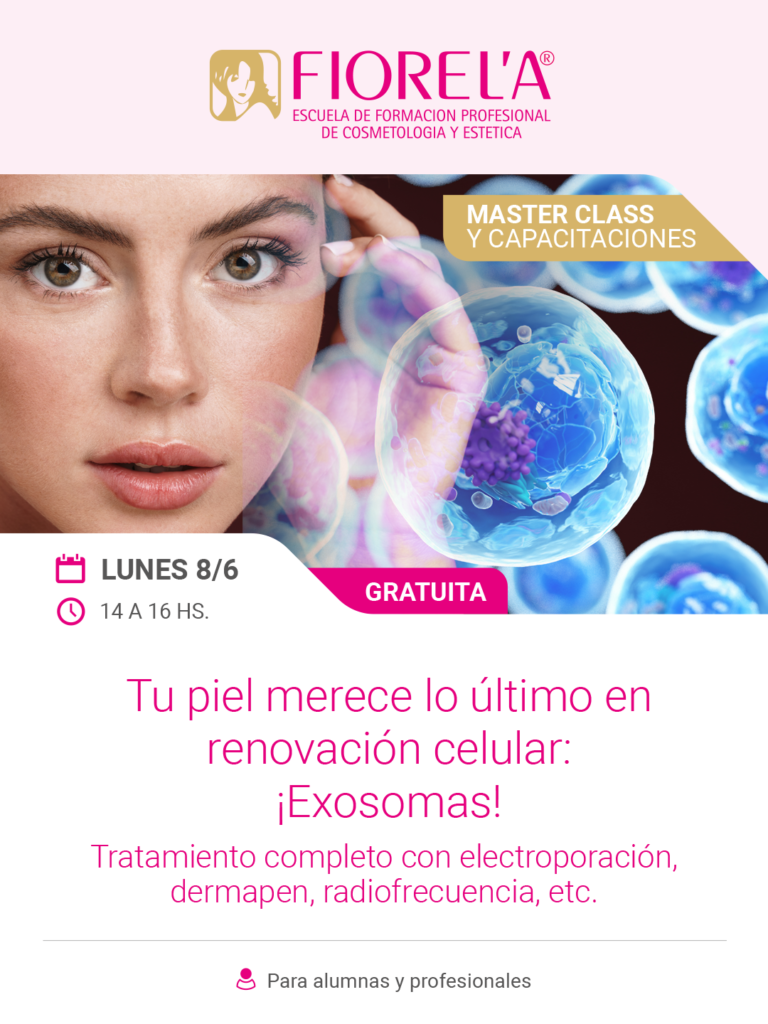 conferencias2