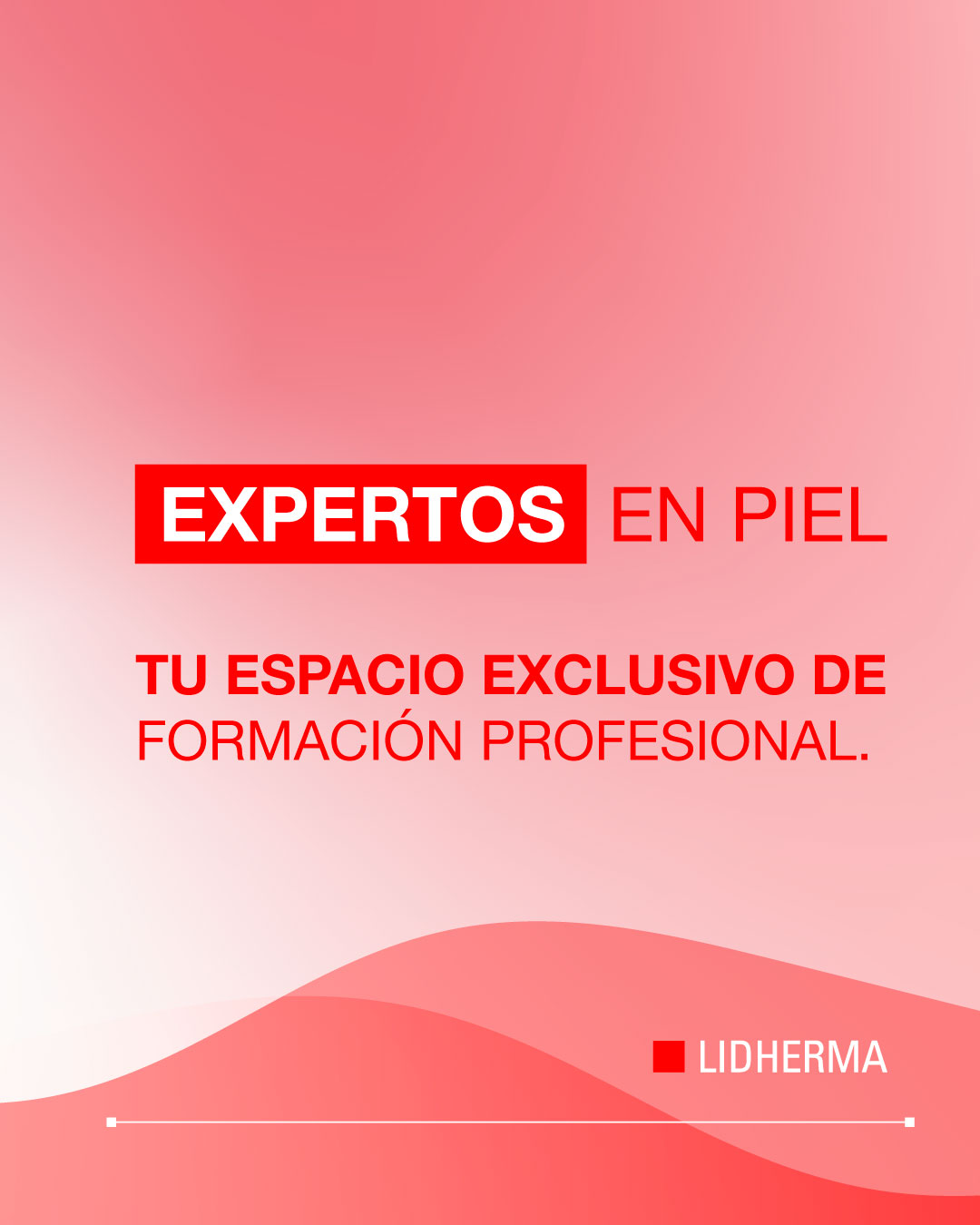 espacio de capacitación profesional lidherma 1